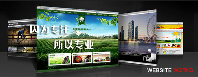 因为专注 所以专业